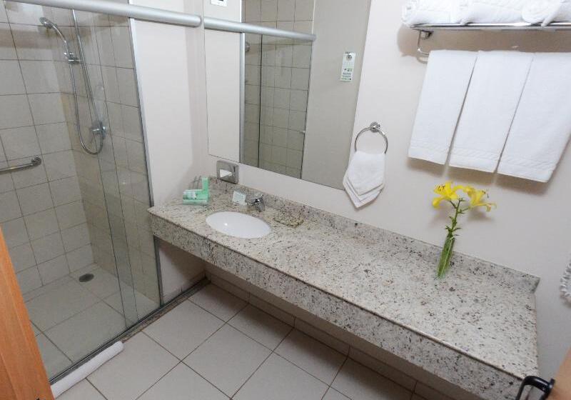 スーペリアールーム, Holiday Inn Parque Anhembi, An Ihg