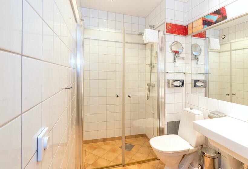 חדר קומפורט, L Stadsparken