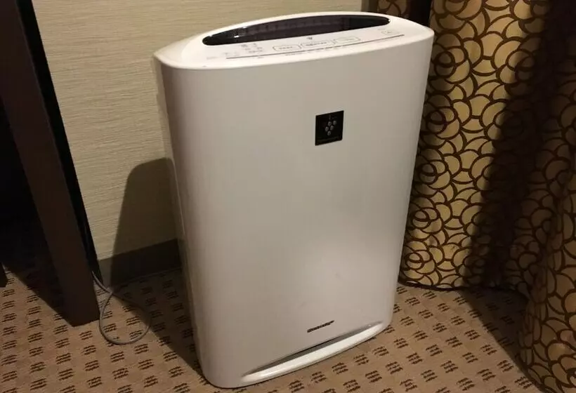 デラックスルーム, Metropolitan Nagano