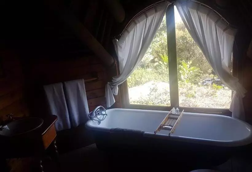 デラックスルーム, Monkey Valley Resort