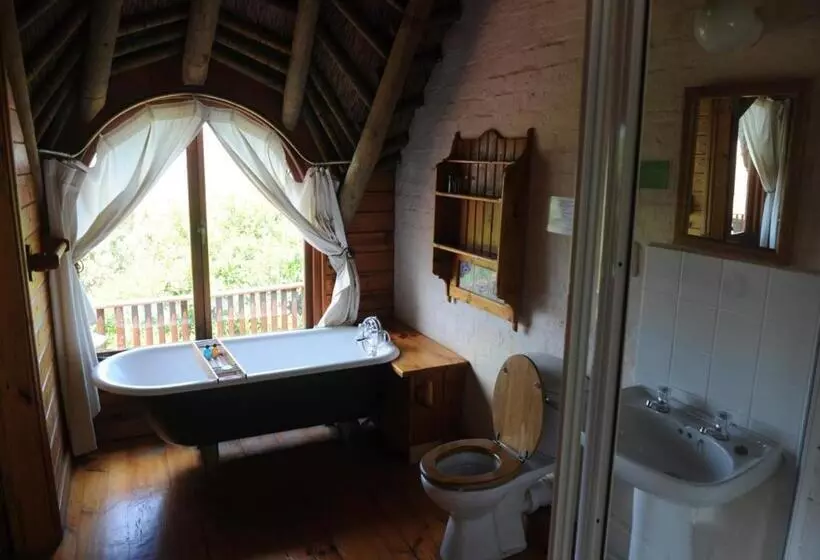 デラックスルーム, Monkey Valley Resort