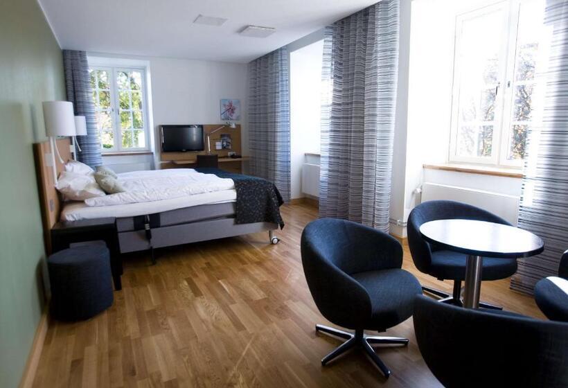 חדר משפתחתי סופריור, Scandic Swania