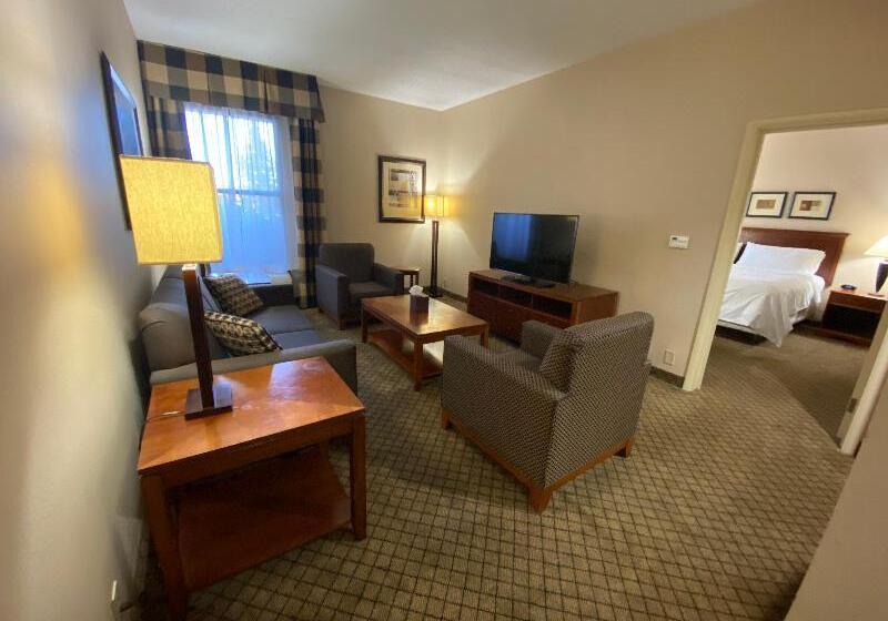 إستوديو قياسى, Margaritaville Beach Resort Playa Flamingo