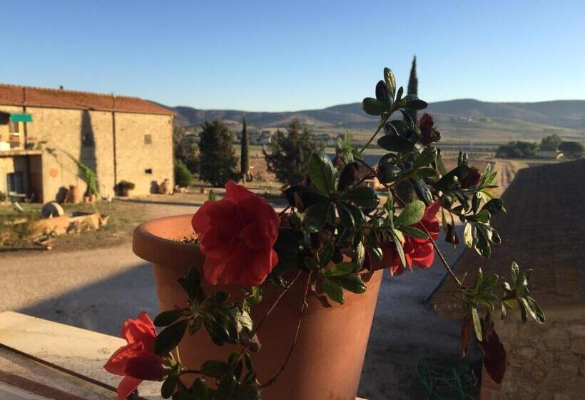 شقة غرفة واحدة مزودة بتراس, Agriturismo La Valentina Nuova