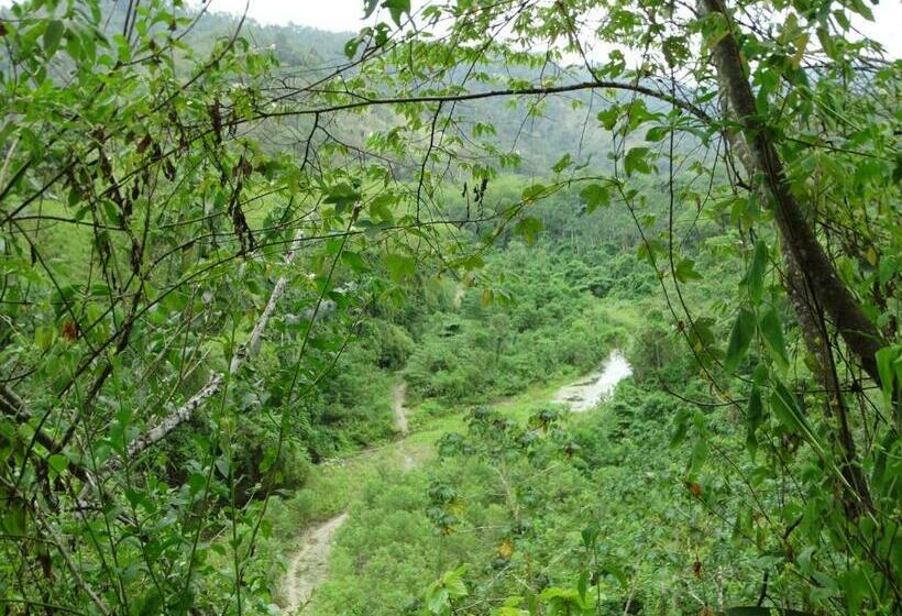 Номер Стандарт, Wipeout Cabaña Restaurant