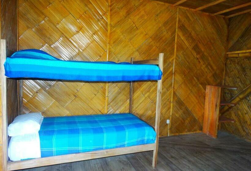 Номер Стандарт Трехместный, Wipeout Cabaña Restaurant