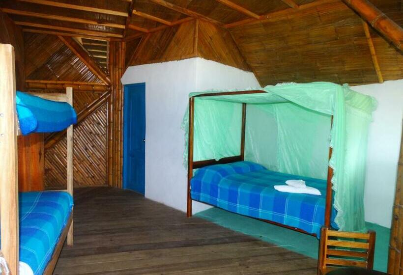 Номер Стандарт Трехместный, Wipeout Cabaña Restaurant