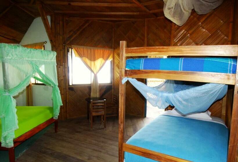 Четырехместный Номер Стандарт, Wipeout Cabaña Restaurant