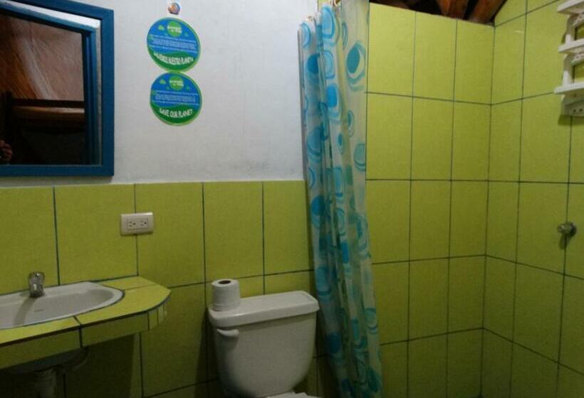 Четырехместный Номер Стандарт, Wipeout Cabaña Restaurant