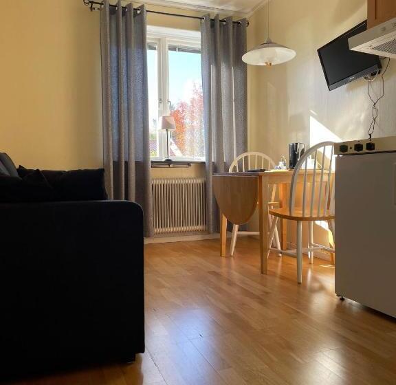 이그제큐티브 룸, Brålanda Hotell Och Vandrarhem