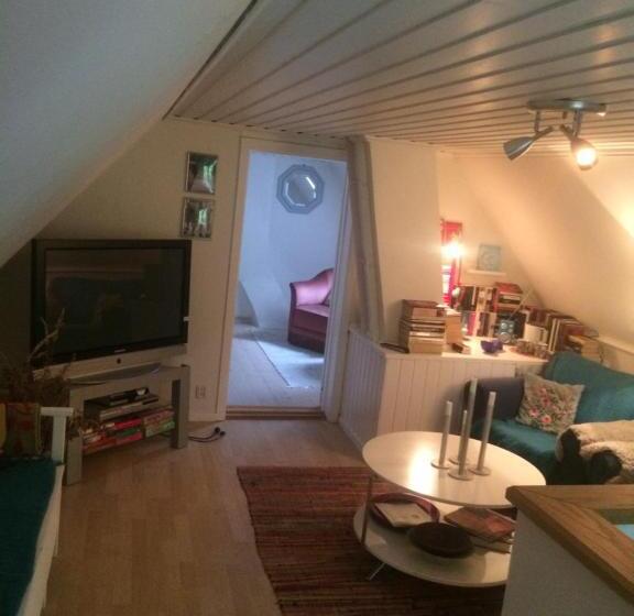 חדר סטנדרט, Swedish Idyll