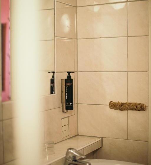 חדר אקונומי לשלושה, Vallåsens Värdshus Stf Hostel