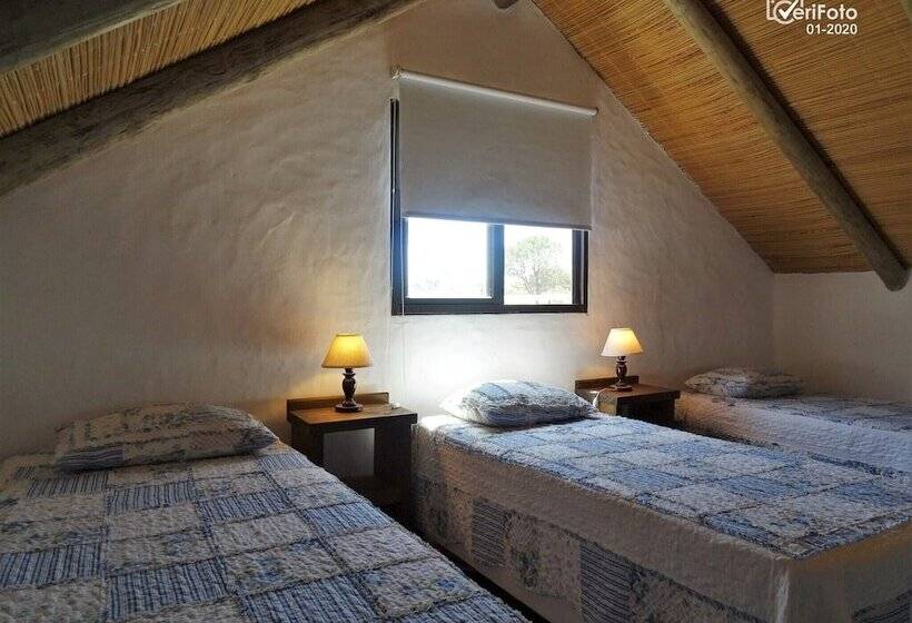 بنجلو عائلى, Bungalows Punta Colorada