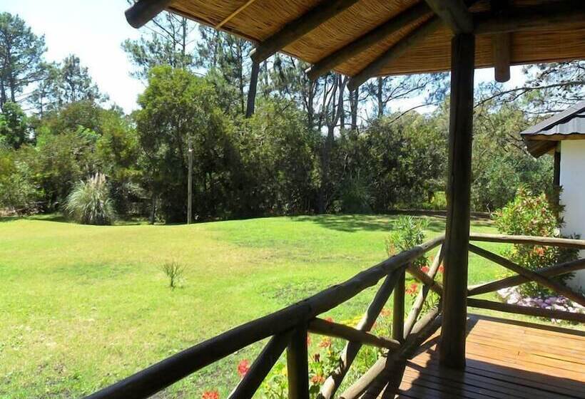 بنجلو عائلى, Bungalows Punta Colorada