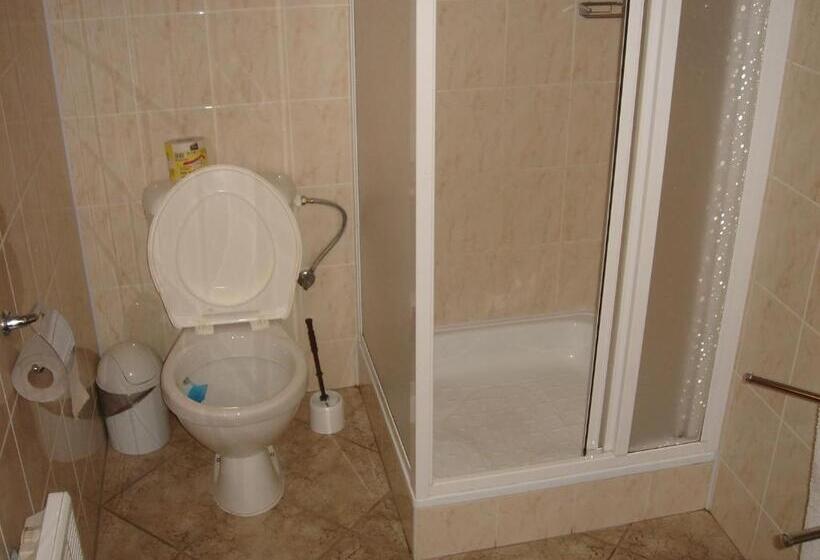 スタンダードスタジオ, Pension Pek