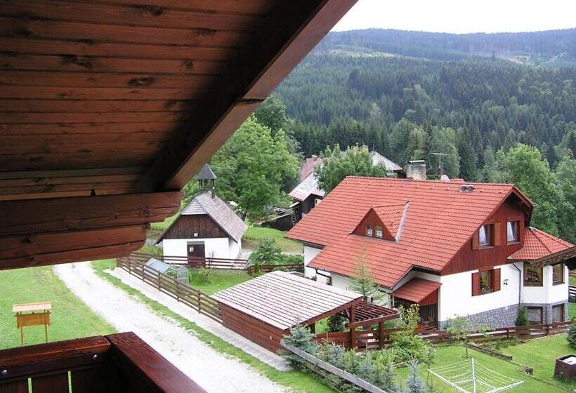 Апартаменты 2 Спальни, Pension Pek