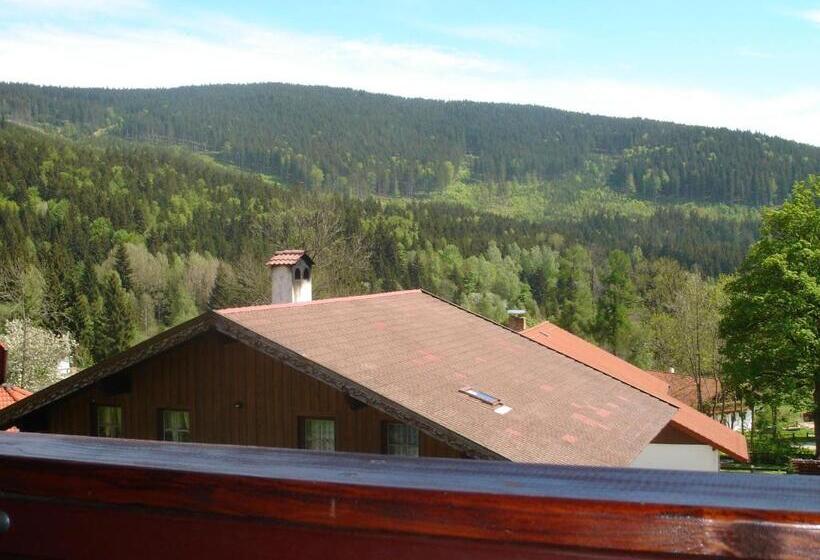 Люкс 2 Спальни, Pension Pek