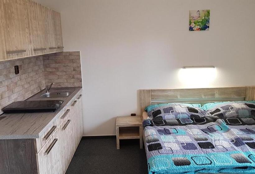 1ベッドルームアパートメント, Pension Pek