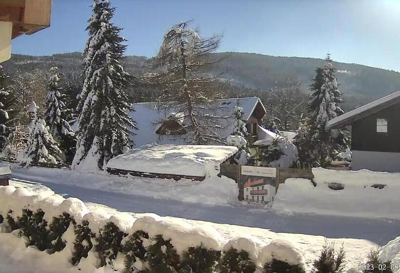 1ベッドルームアパートメント, Pension Pek