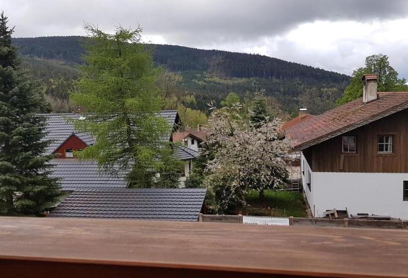 バルコニー付き1ベッドルームアパートメント, Pension Pek