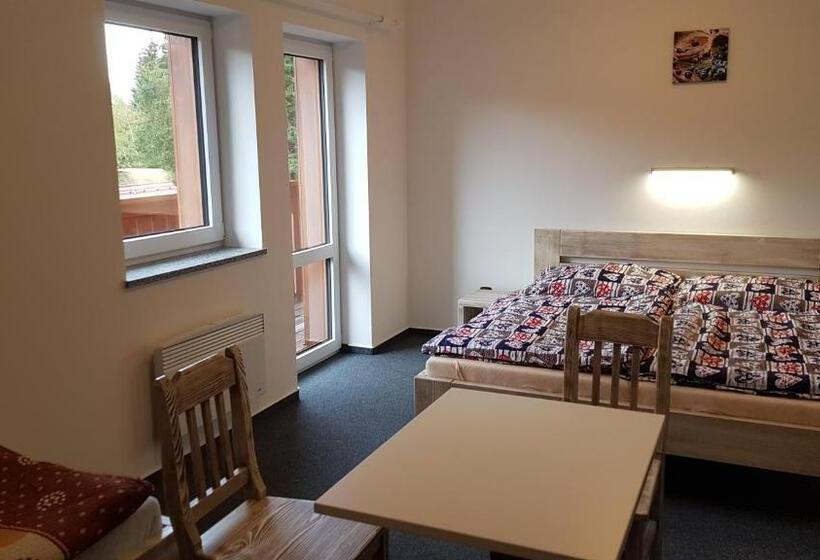 バルコニー付き1ベッドルームアパートメント, Pension Pek