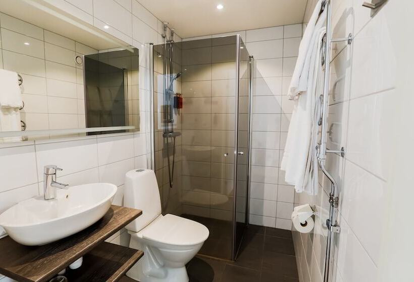 Номер Стандарт, Clarion Collection Hotel Cardinal