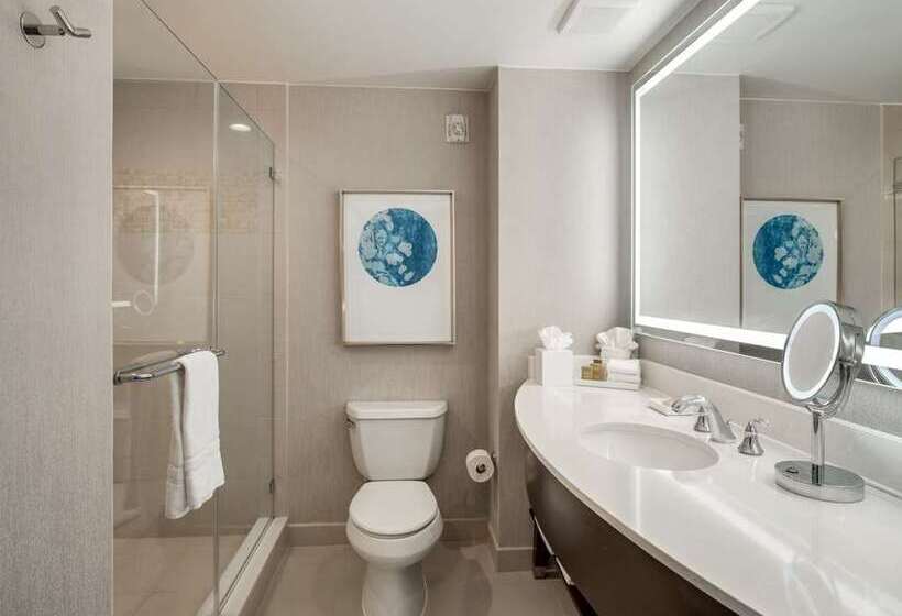 اتاق سوپریور با تخت بزرگ, Hilton Paris La Defense