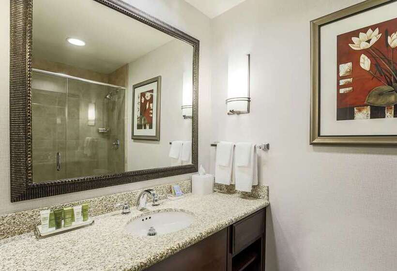 اتاق سوپریور با تخت بزرگ, Hilton Paris La Defense