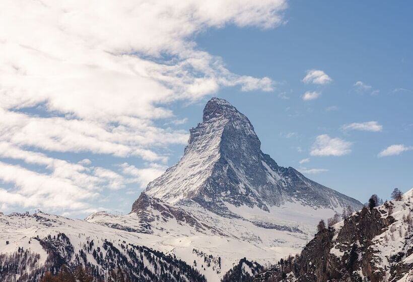标准间带山景, The Rex