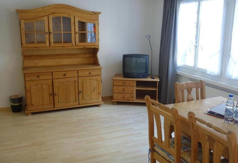 חדר סטודיו סטנדרד, Bären Guttannen