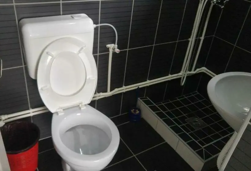 استودیوی استاندارد, Prenociste H2o