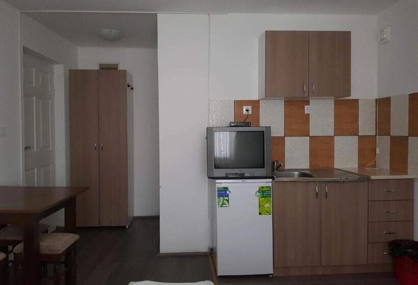 استودیوی استاندارد, Prenociste H2o