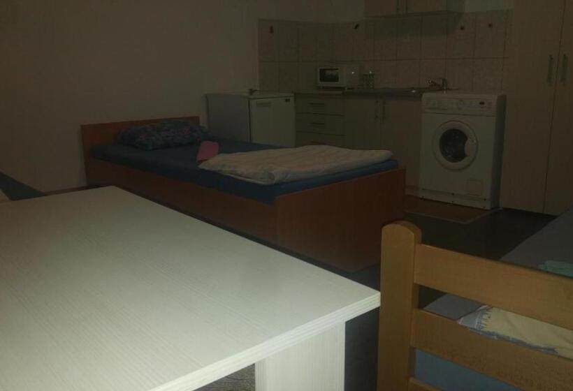 استودیو استاندارد با بالکن, Prenociste H2o