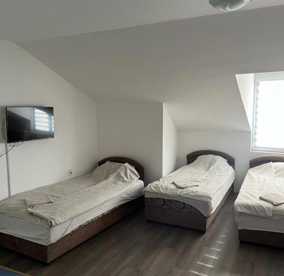 استودیو استاندارد با چشم‌انداز, Prenociste H2o