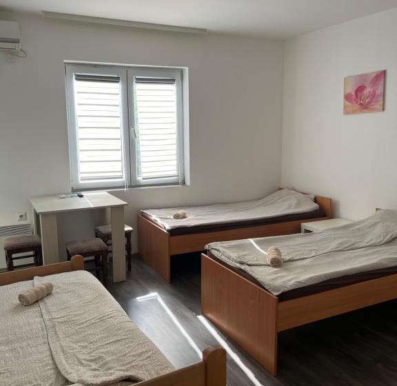 استودیو استاندارد با بالکن, Prenociste H2o