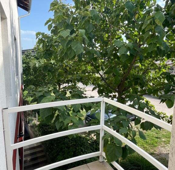 استودیو استاندارد با بالکن, Prenociste H2o