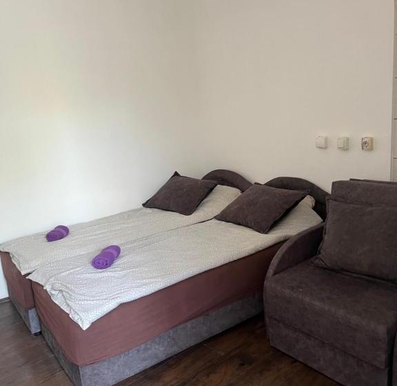 آپارتمان 1 خوابه همکف, Prenociste H2o