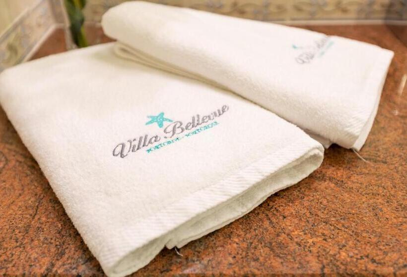 آپارتمان 1 خوابه با چشمانداز دریا, Villa Bellevue Portoroz Portorose