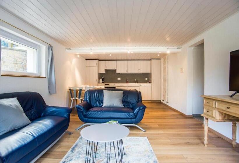 شقة غرفة واحدة مطلة على الحديقة, Bnb Logis Des Saules