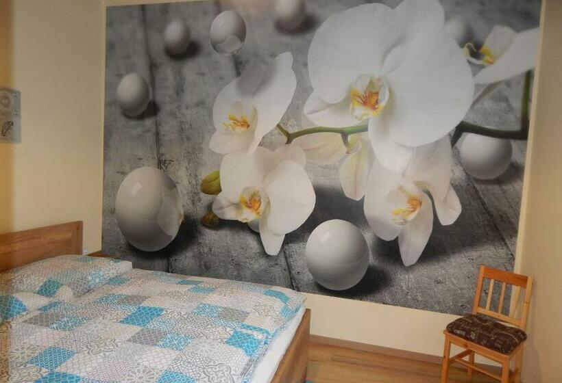 ２ベッドルームアパートメント, Boros Vendégház I