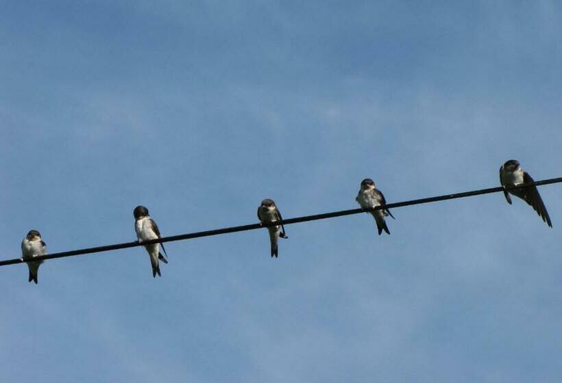 스탠다드 룸 가든 전망, L'ecurie