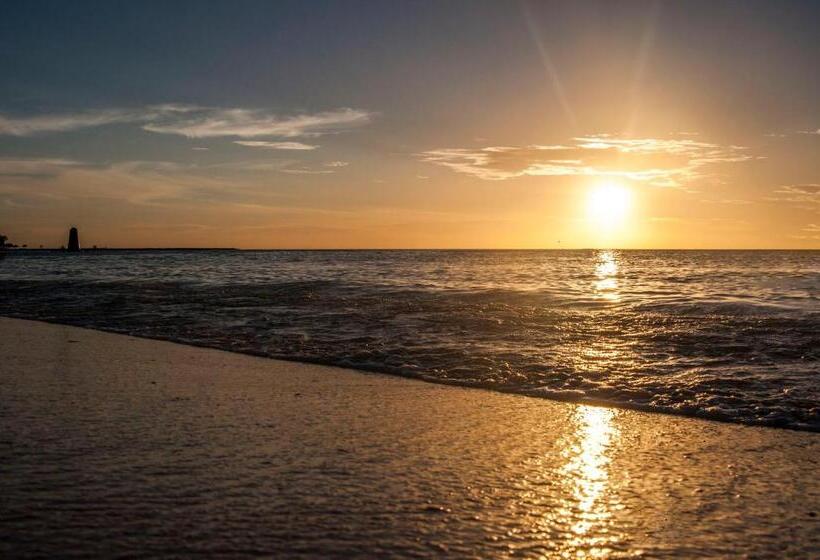 ویلای لوکس 1 خوابه, Yoyita Suites Aruba