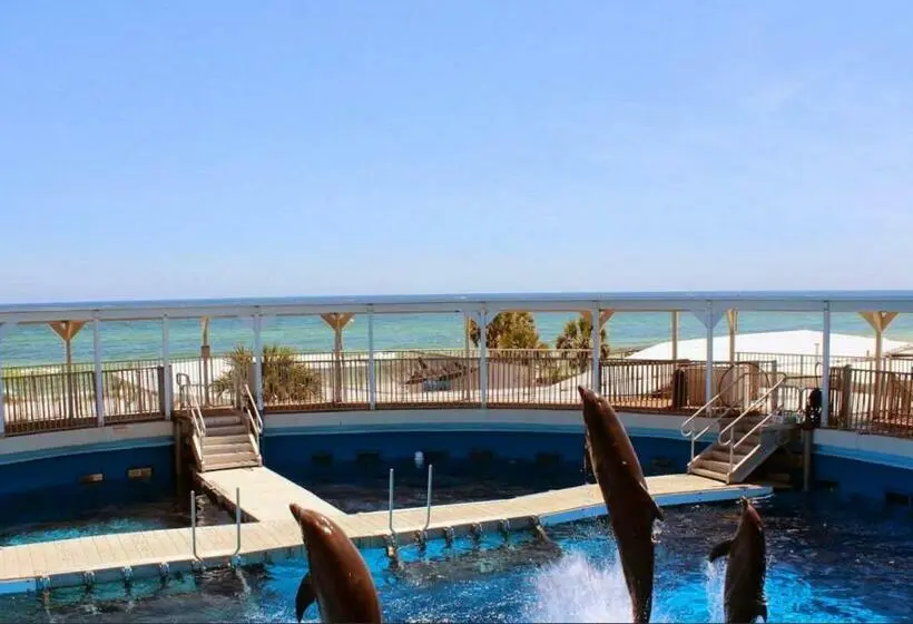 ３ベッドルームアパートメント, Destin West Bayside Heron 507  A Wave From It All