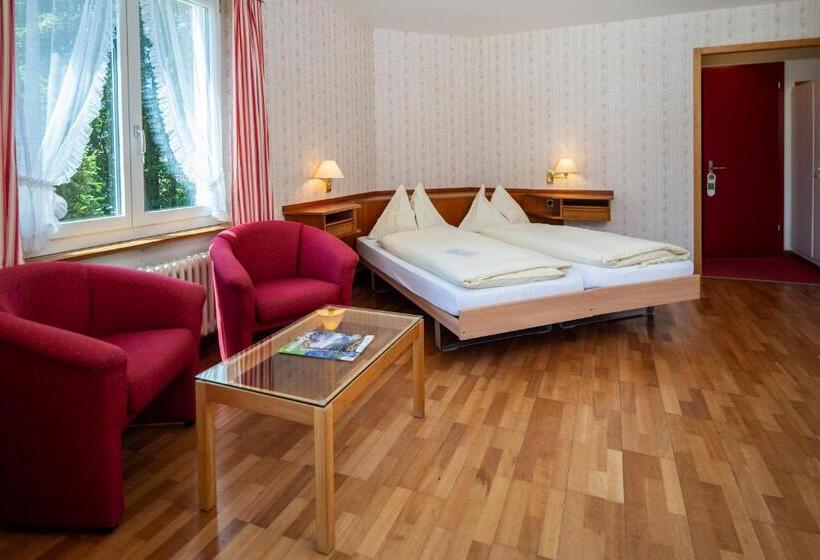 高级大房间, Berghaus