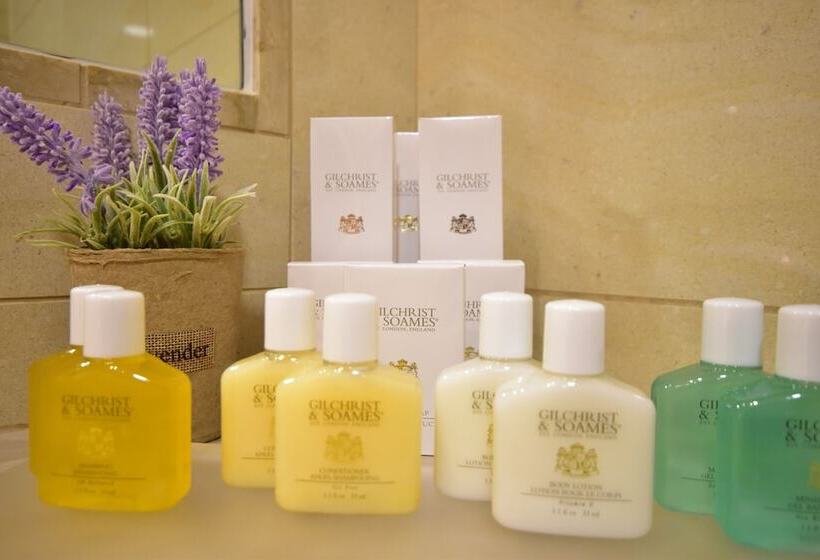 스탠다드 룸 바다 전망, Plaza Resort