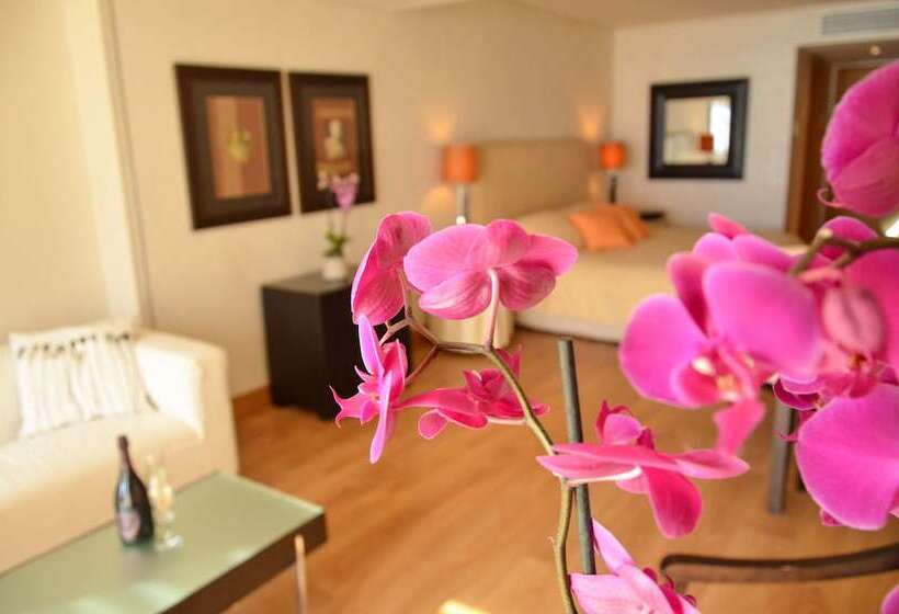 스탠다드 싱글 룸 바다 전망, Plaza Resort