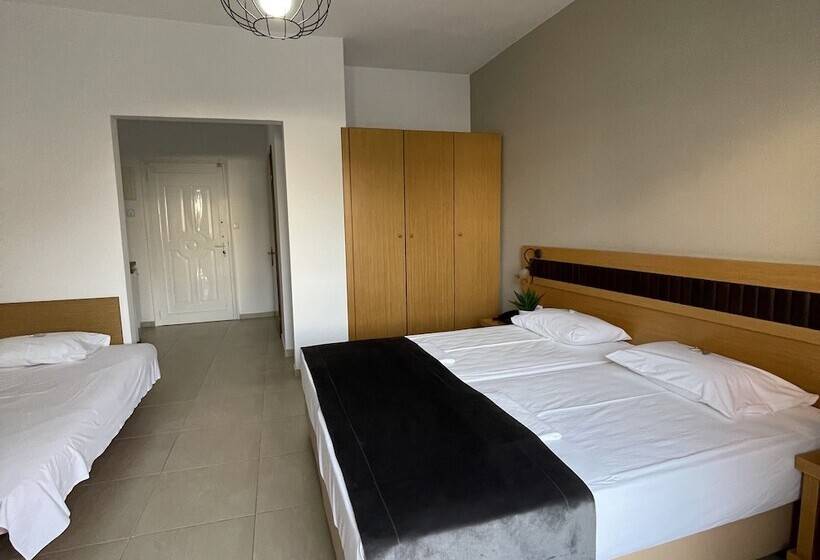 חדר סטנדרט לשלושה, Sarantis