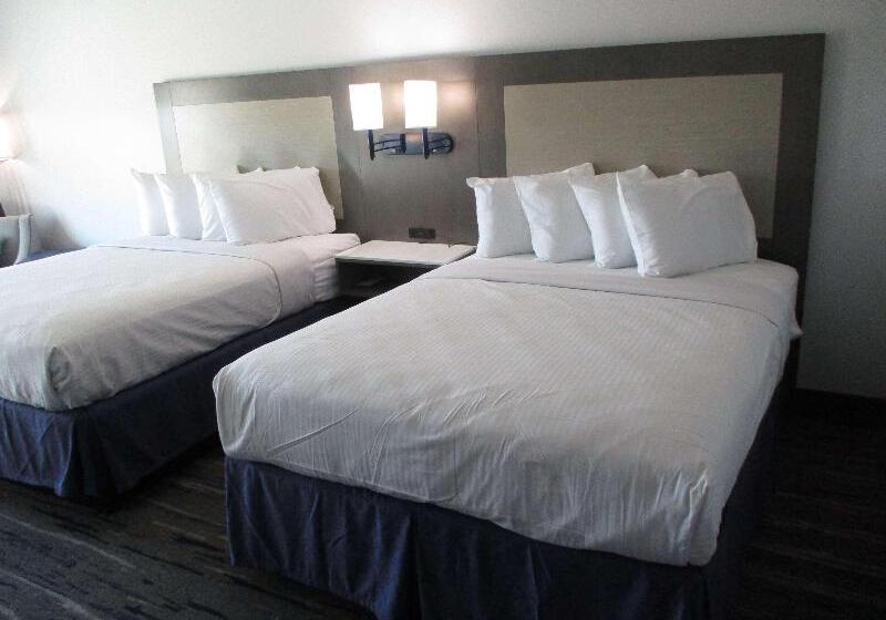 غرفة قياسية, Sunroute Asakusa