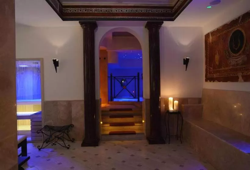 スパアクセス付スタンダードルーム, Trilussa Palace Hotel Congress & Spa