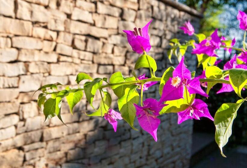 غرفة قياسية, Virgilio Grand